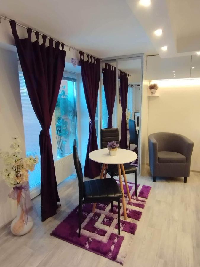 Dum Tamara Apartment Luhacovice Exterior photo