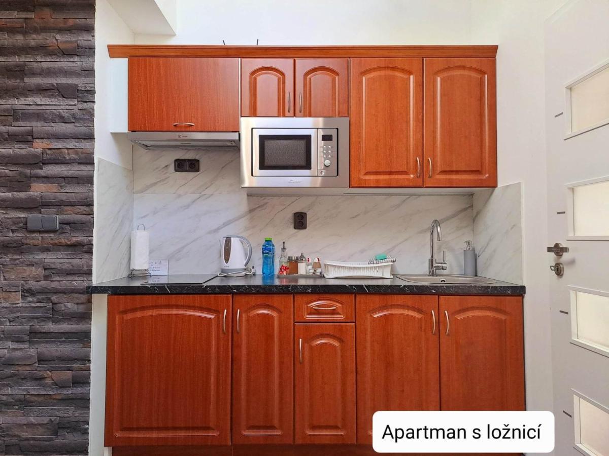 Dum Tamara Apartment Luhacovice Exterior photo